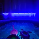 My Summerhouse With Jacuzzi Apartament
